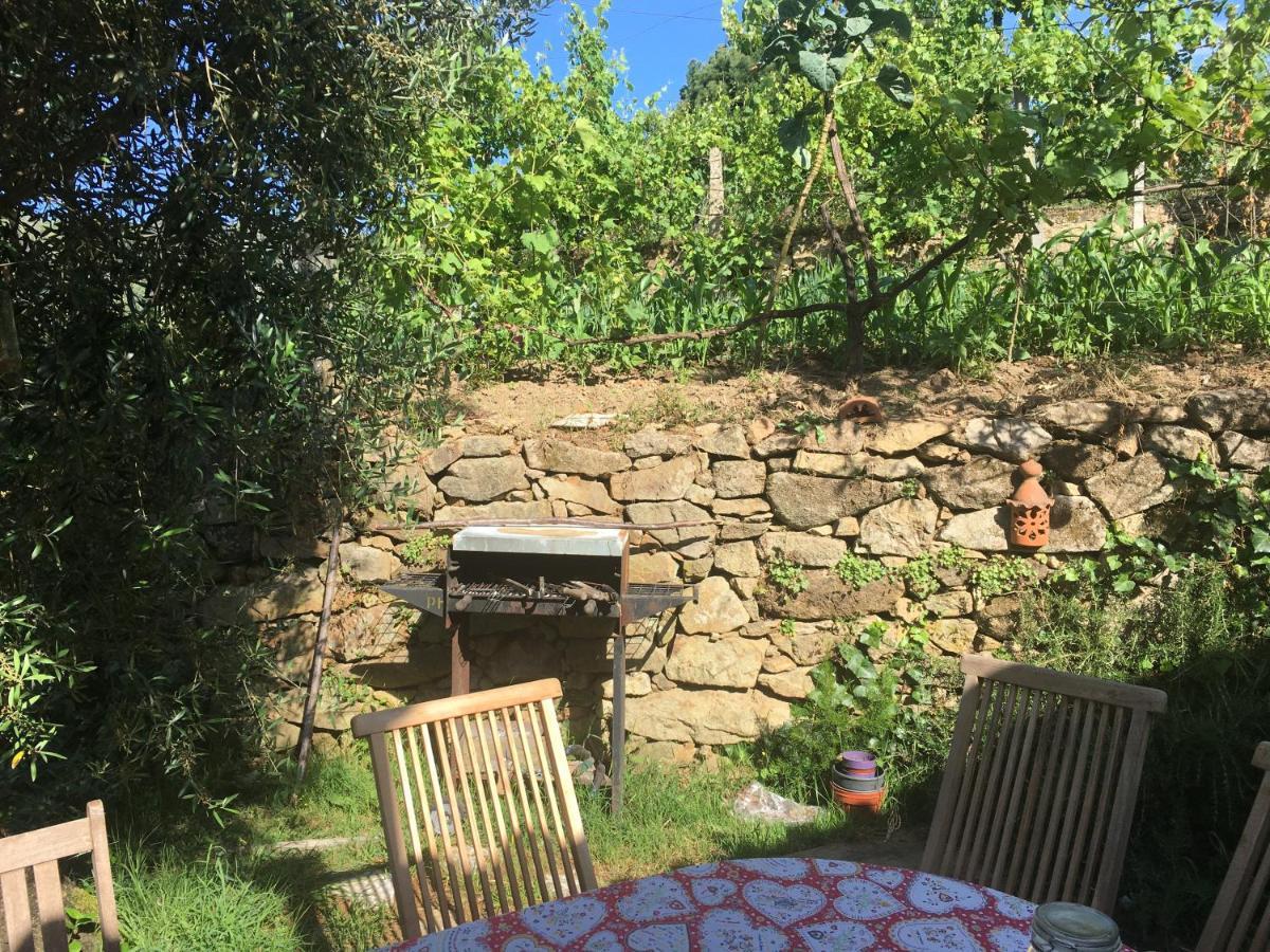Casa S. Nicolau Villa Cabeceiras de Basto Eksteriør billede